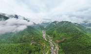 牛背梁：让“生态颜值”成为“振兴产值”