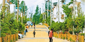 西安鄠邑：农技服务到田间助力粮食“双抢”