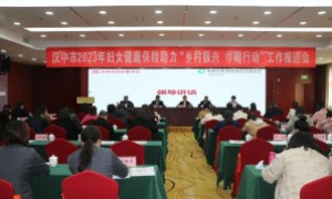 汉中市妇联与中国人寿汉中分公司 联合召开2023年妇女健康保险助力“乡村振兴巾帼行动”工作推进会