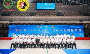 武动长安·拳承千年丨“亿太极杯”2025武术套路精英赛完美收官