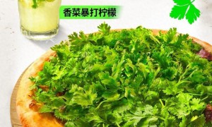 「好多好多香菜皮蛋牛肉比萨」重生归来