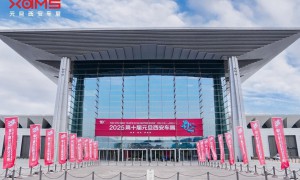 2025第十届元旦西安车展盛大启幕