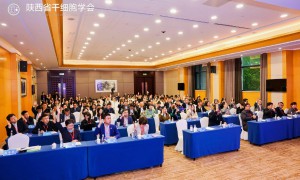 陕西省干细胞学会圆满换届 聚焦细胞技术赋能医院创新发展