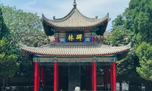 西安碑林博物馆“焕新”指南