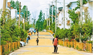 西安鄠邑：农技服务到田间助力粮食“双抢”