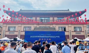 陕西省暨西安市安全宣传咨询日活动举行