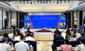 共话发展机遇 陕西—中亚经贸合作对接会举办