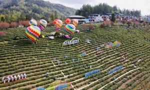 民歌绕秦岭，一山三地歌如潮