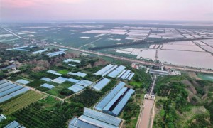 东雷抽黄灌区：智慧管水助高效用水