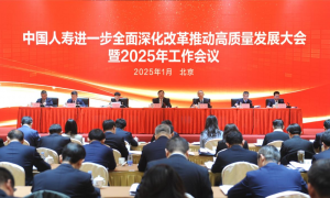 中国人寿2024年境内累计新增保险金额超700万亿元