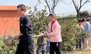 大手拉小手  共植幸福树