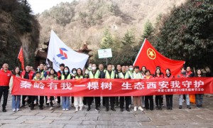 陕建七建集团：“植”此青绿 “树”连成荫