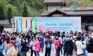 西安秦岭生态旅游季暨太平国家森林公园第二十二届紫荆花季盛大启幕