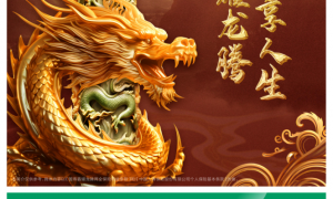 中国人寿寿险公司推出国寿鑫耀龙腾两全保险