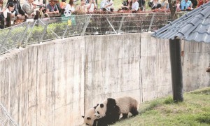 清明假期陕西旅游市场持续火热