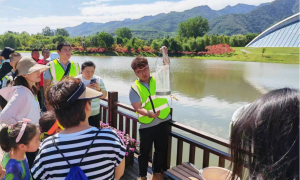 西安因你而美|文明家庭公益行 当好秦岭生态卫士