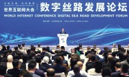 世界互联网大会数字丝路发展论坛在西安举行